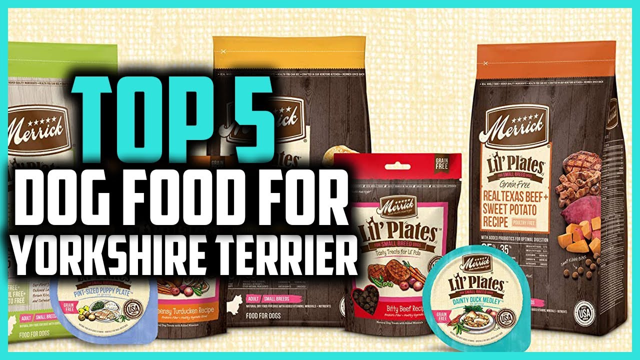 ✅Top 5 Best Dog Food For Yorkshire Terrier of 2024