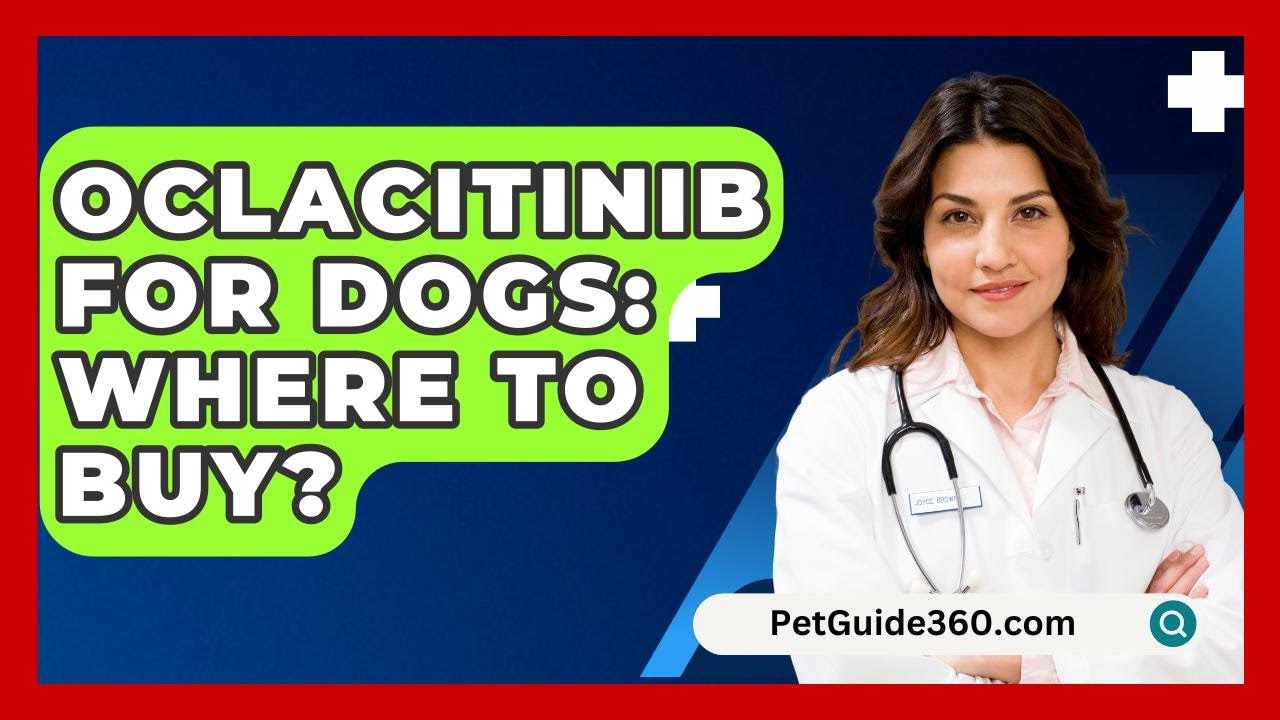 Oclacitinib For Dogs: Where To Buy? - PetGuide360.com