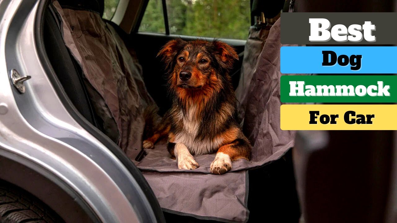 ✅ Best Dog Hammock for Car | Top 5 Dog Hammocks for Car in 2023