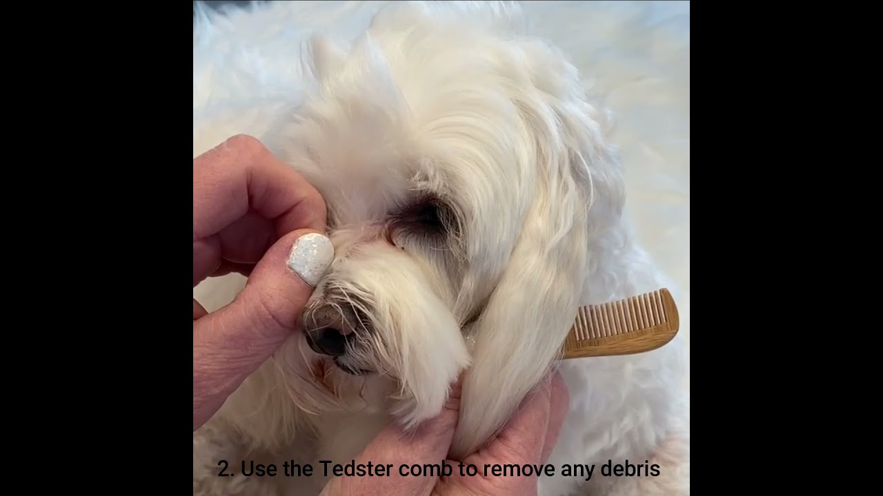 Happy Tears Dog Tear Stain Remover,  Application Video with Captions