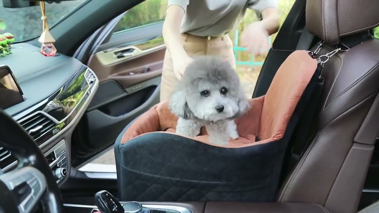 Dog Booster Car Seat for Dogs, Fully Detachable & Washable with Safety Leashes, Fits All Car Seats
