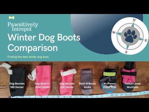 Finding the Best Winter Dog Boots