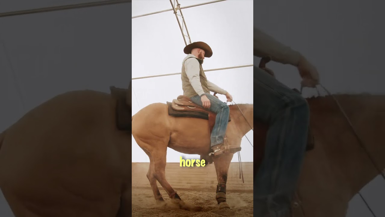 How big is too big to be on a horse?