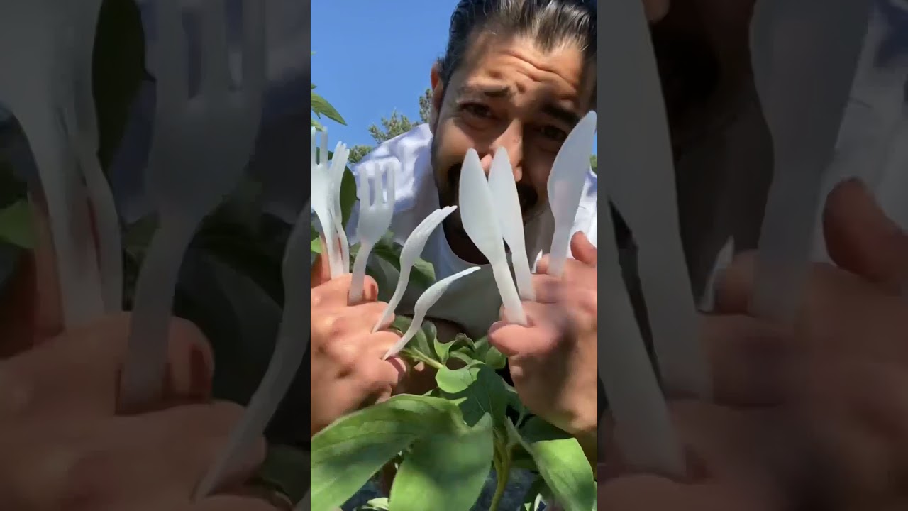 How to Keep Animals Away from Plants | Garden Hack | creative explained