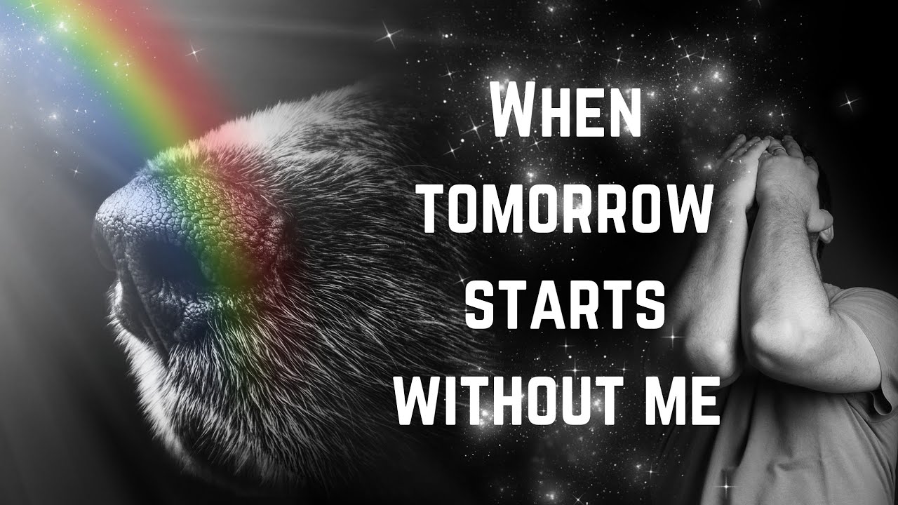 When tomorrow starts without me, Pet loss poem for dog lovers, Pet memorial, Rainbow bridge, Tribute