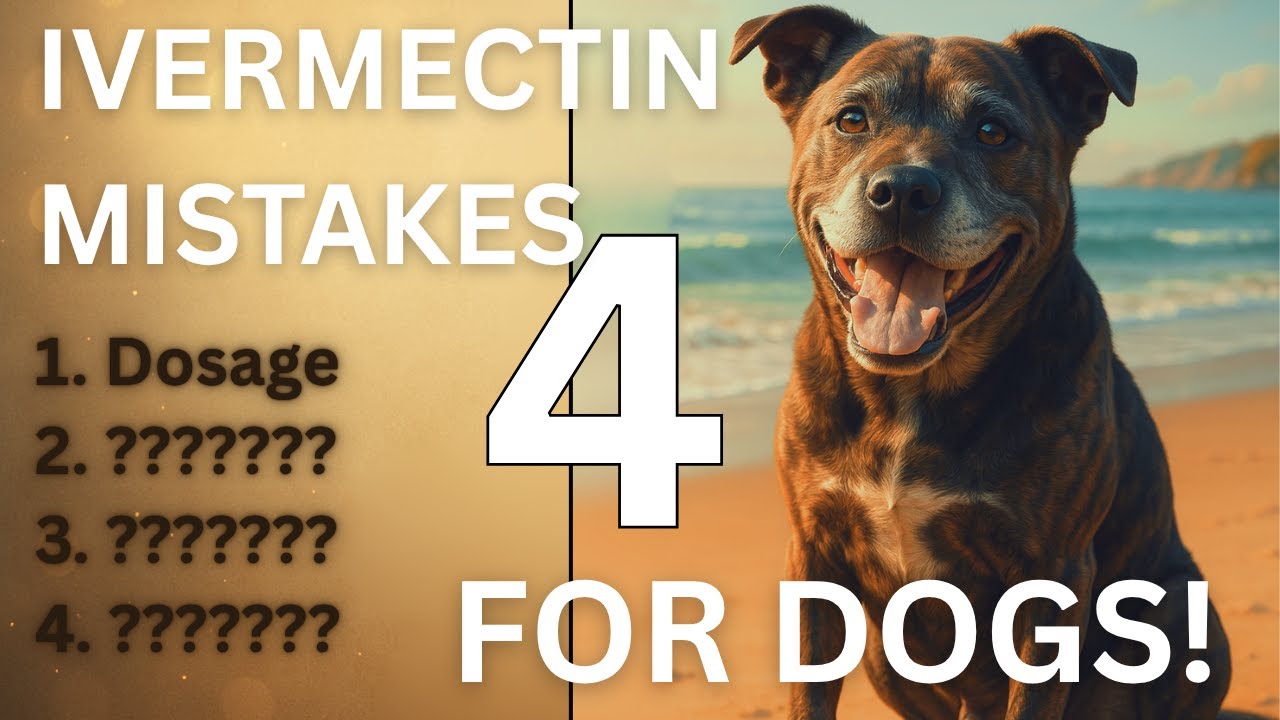 How to Give Ivermectin to Dogs Safely: Correct Dose & 4 Dangerous Mistakes