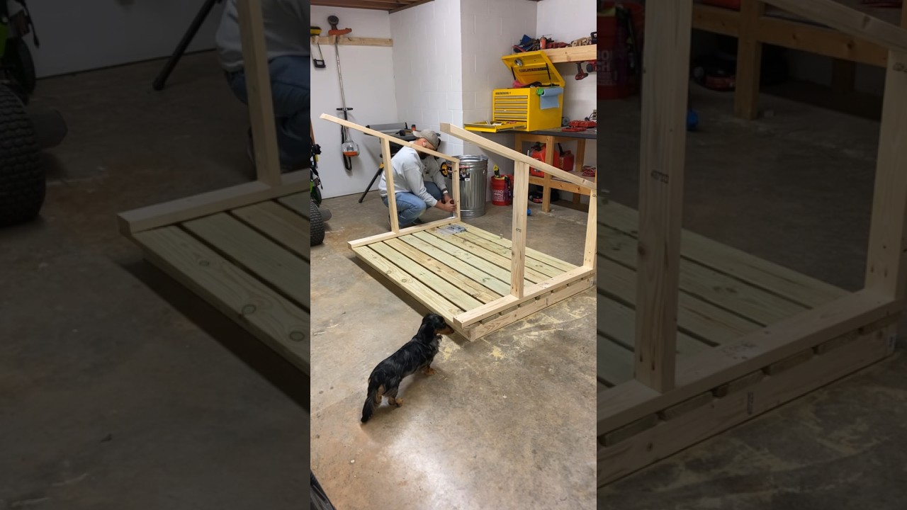 Framing a Dog House with my little helper! #woodworking #dog #doghouse #daschund
