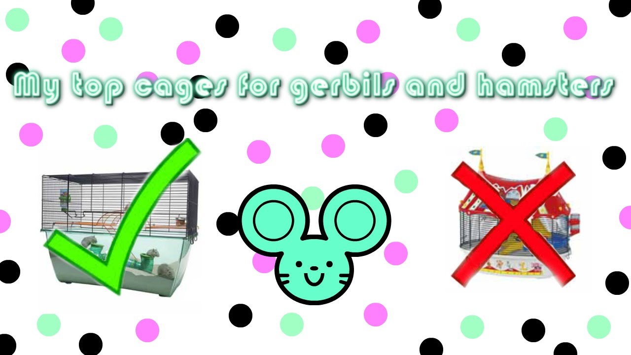 my top cages for gerbils and hamsters!!