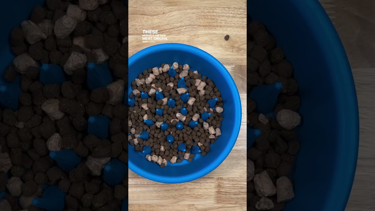 Head to Open Farm and try their new RawMix kibble! 💚🐾 #thebkpets #openfarmpet #openfarmpartner