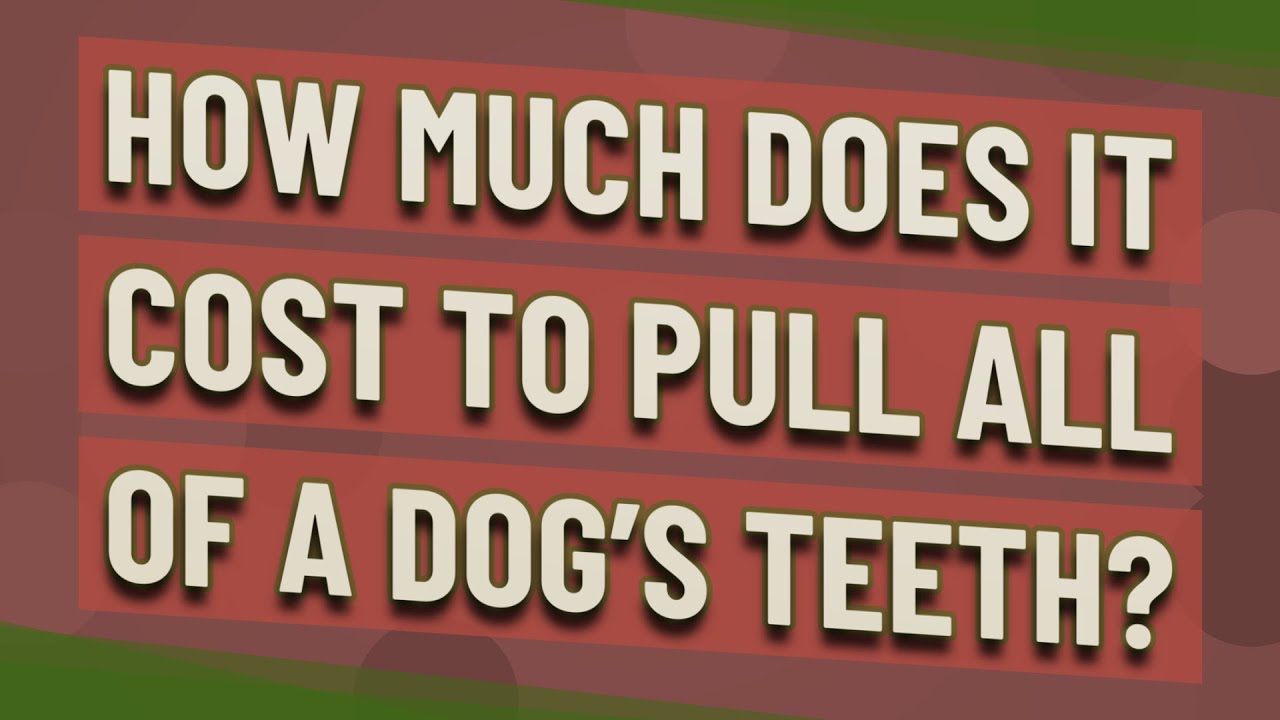 How much does it cost to pull all of a dog's teeth?