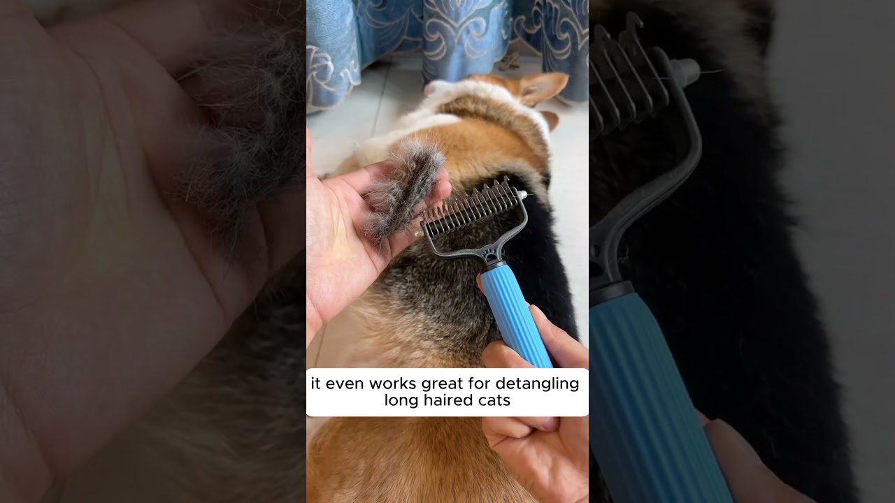 Keep your pet’s coat looking perfect with this Deshedding Comb Grooming Brush—grab one now! 🐱✨