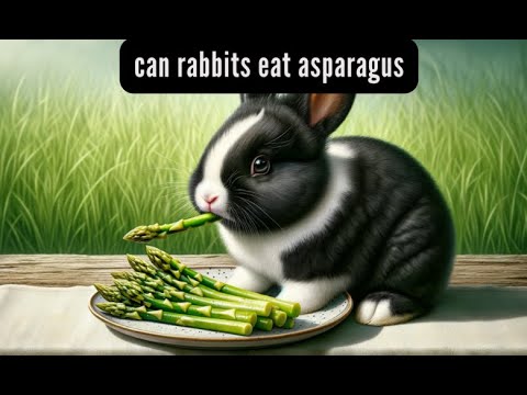 Can Rabbits Eat Asparagus? The Surprising Truth Revealed!