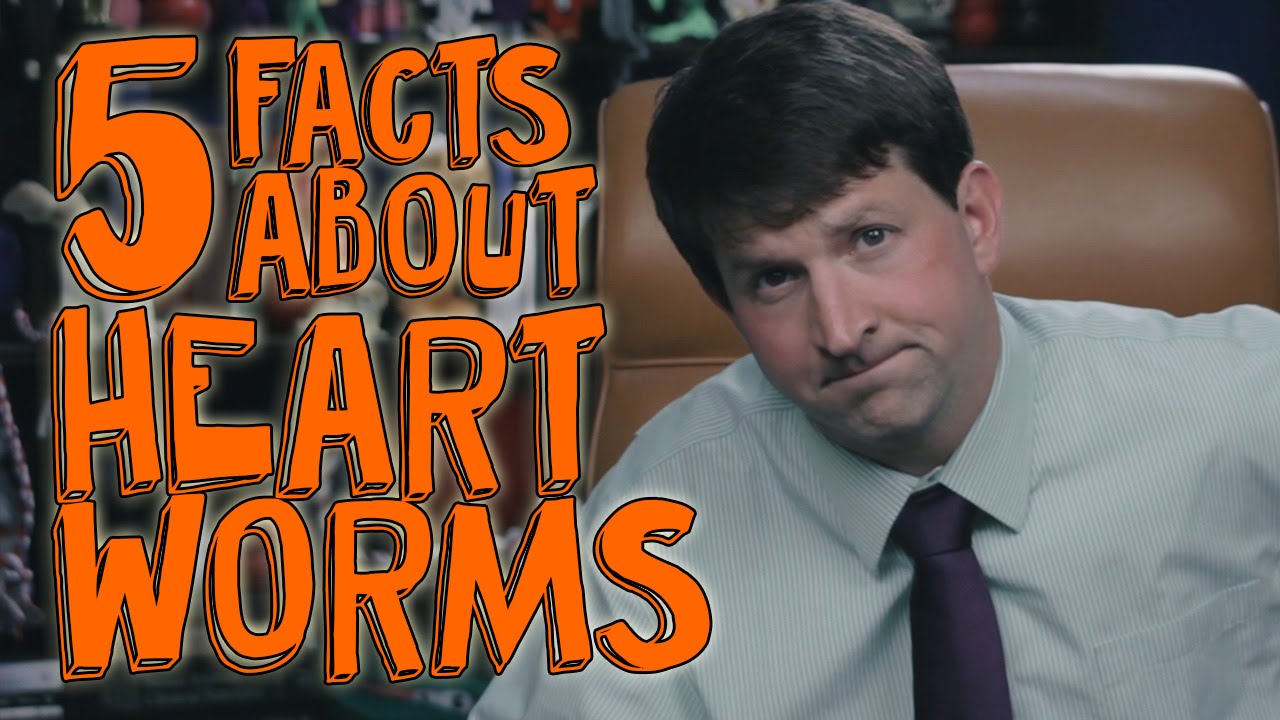 5 Things You Didn't Know About Heartworms