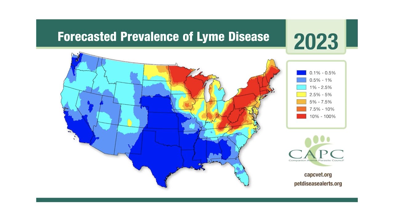 Companion Animal Parasite Council Releases 2023 Forecast
