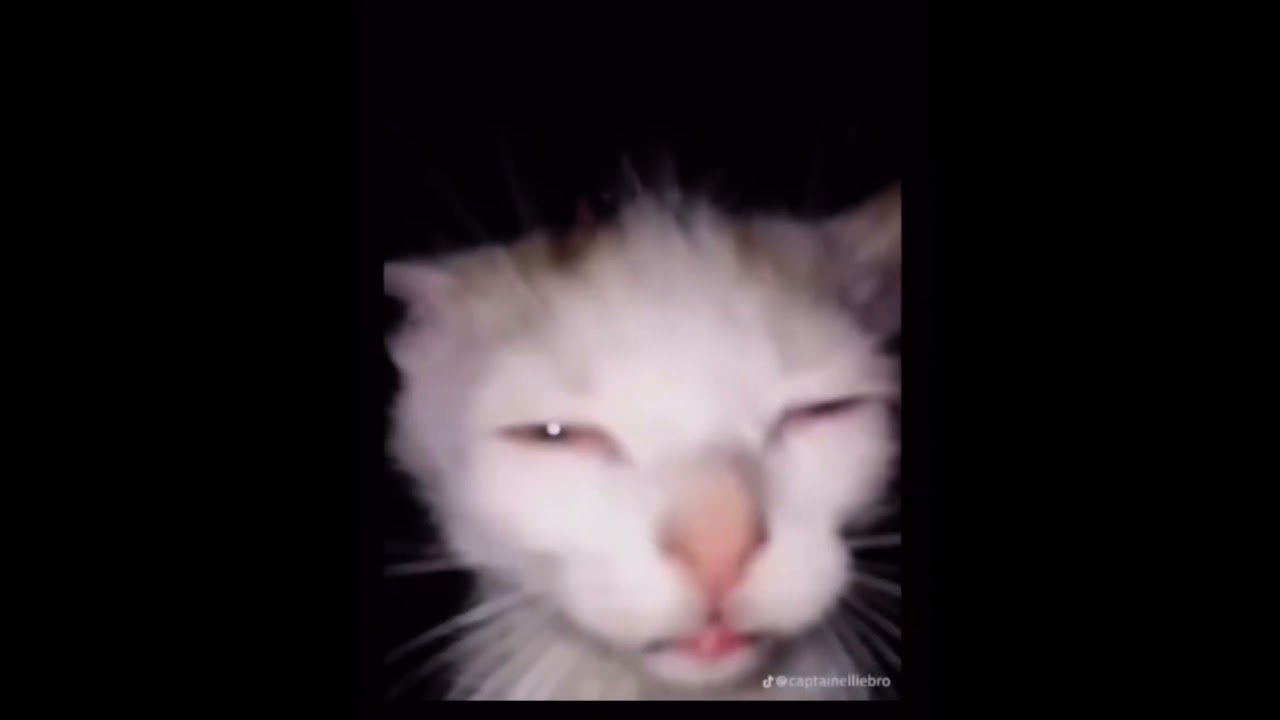 squint your eyes #covid19 #memes #planet #tiktok #cat #car