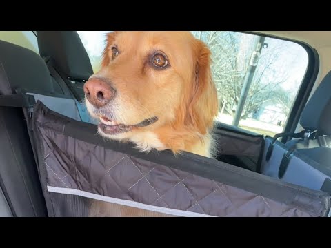 Comparing Two Dog Backseat Covers | Review Rundown | Backseat Extender for Dogs