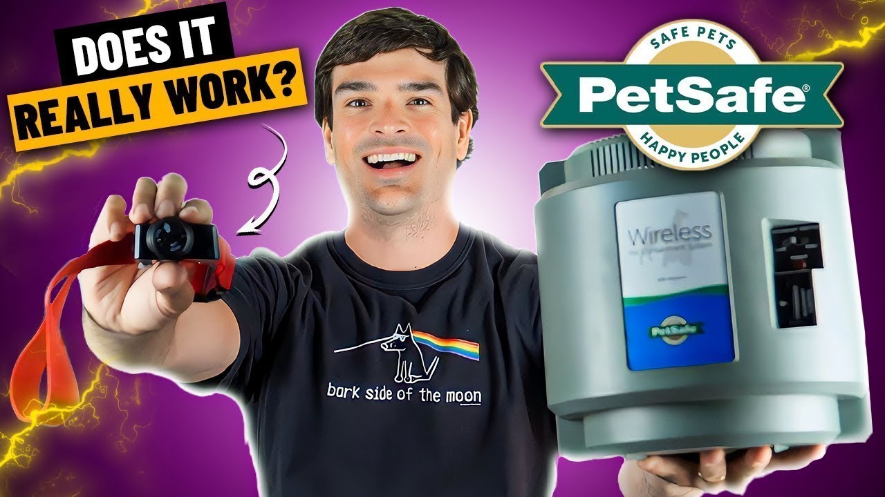 PetSafe Wireless Fence Reviews (Watch Me Get SHOCKED!)