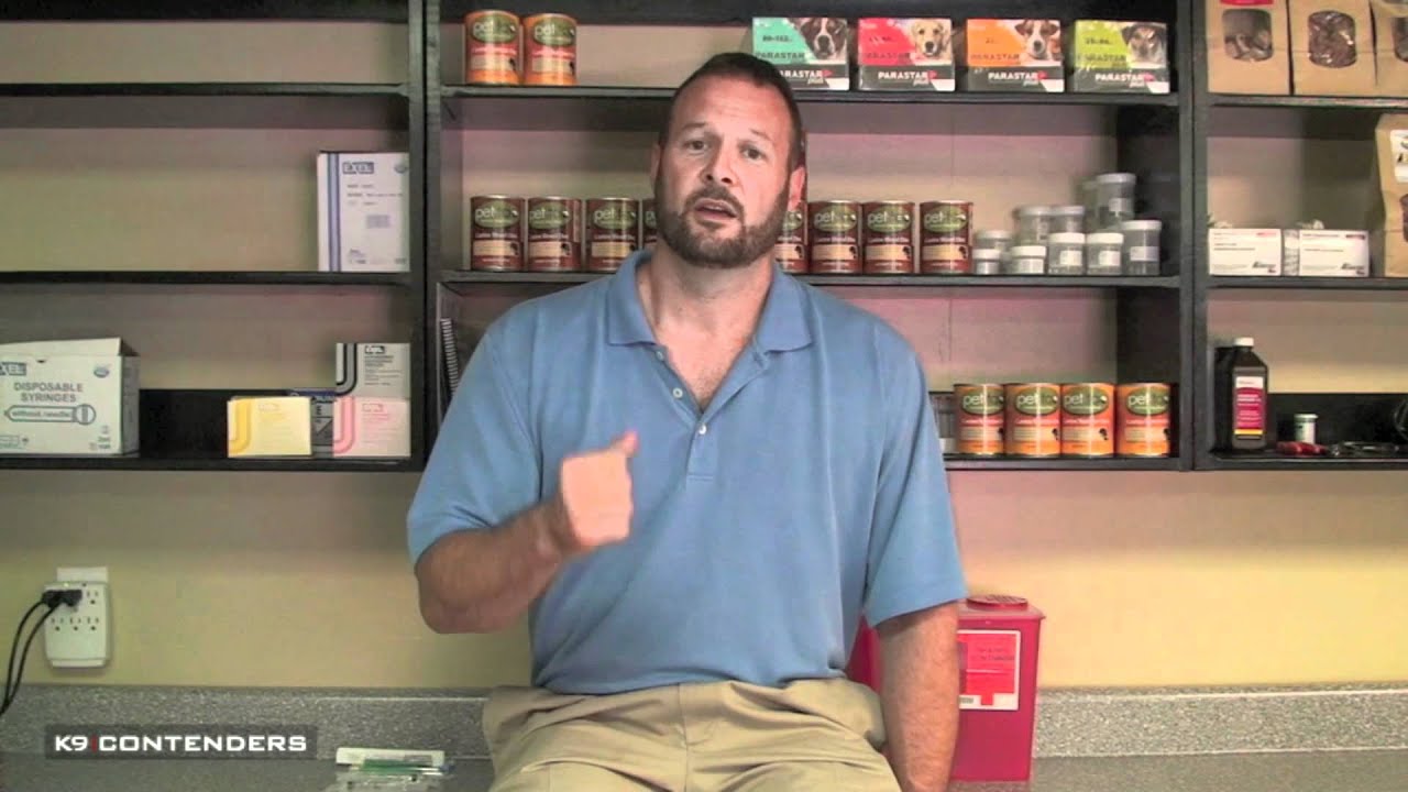 K9C Vet Dr. Marc Smith - Dewclaws