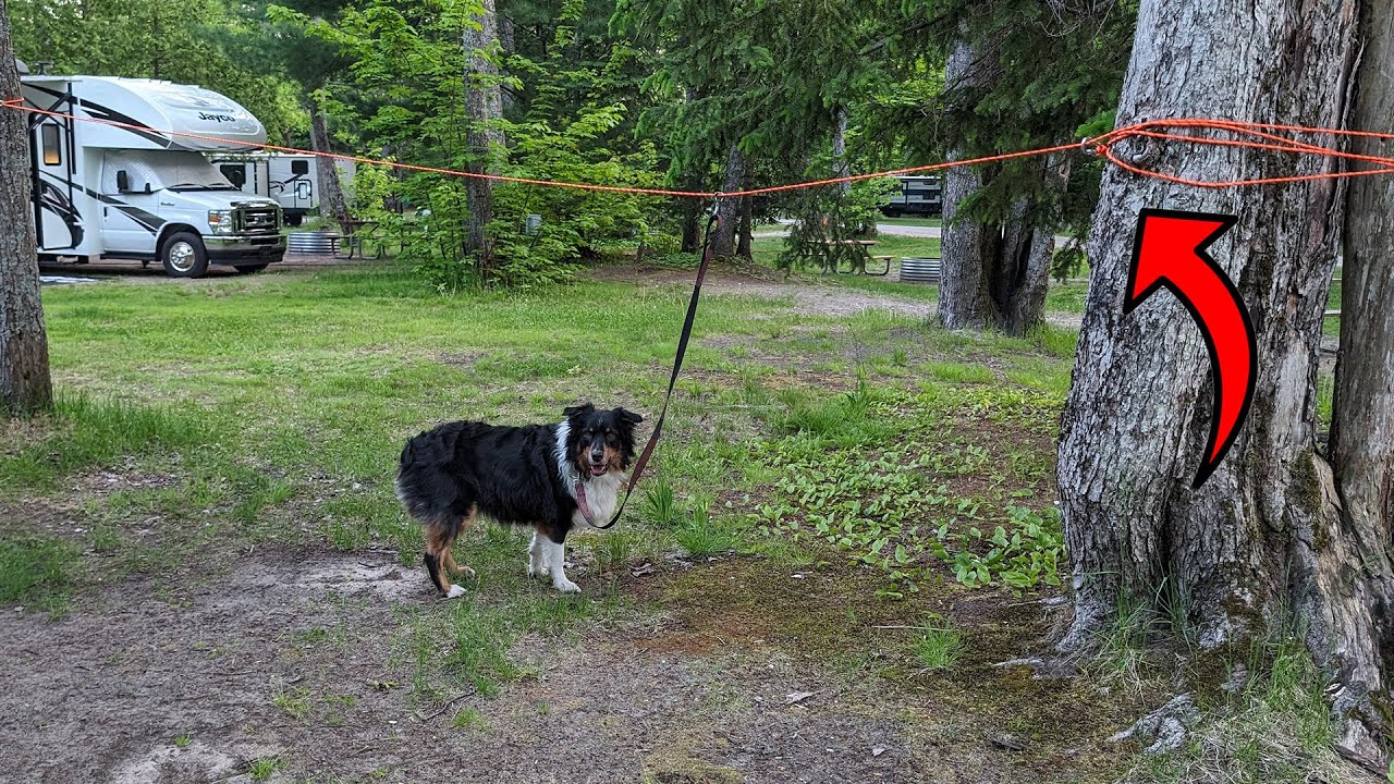 This Tie Out Trolley for Dogs is GREAT for Camping!