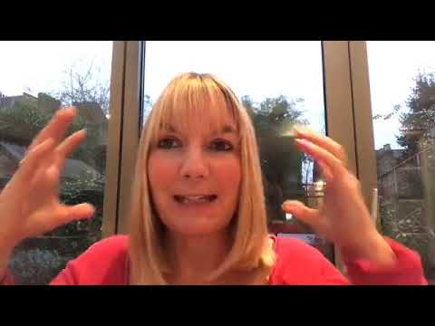 Dog Head Injuries - How to Help