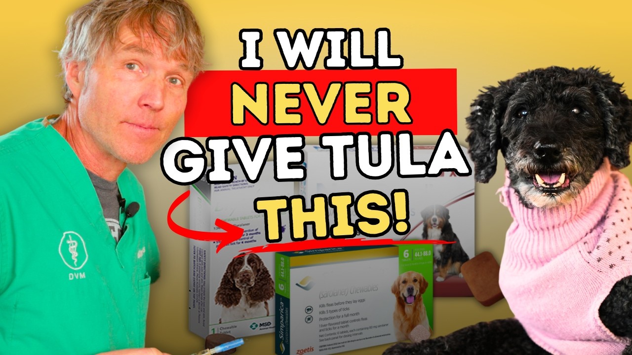 WARNING: 5 Flea & Tick Products with Alarming Side Effects (Better Natural Alternatives Included!)