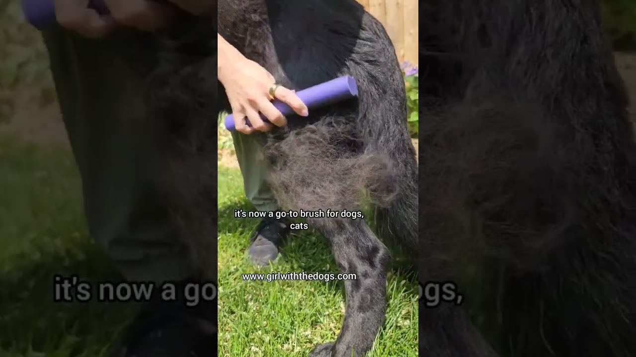 #1 pet brush on the market