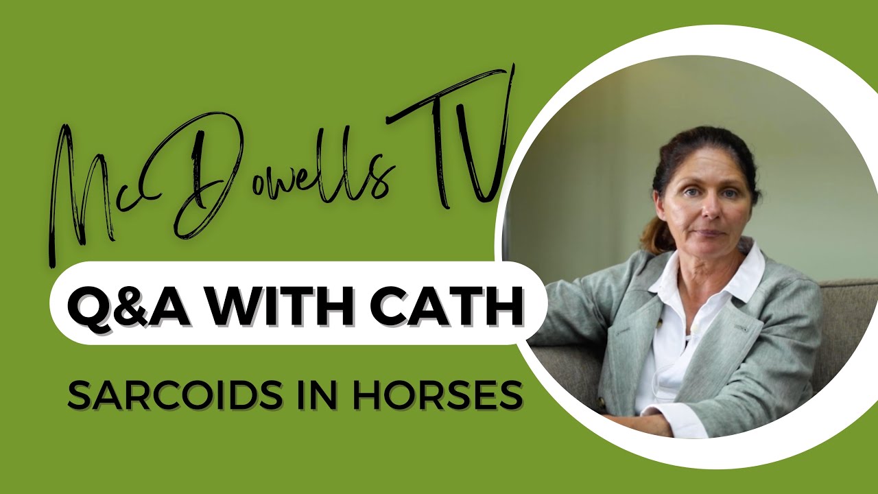 Understanding sarcoids in horses: causes, symptoms & treatment - Q & A with Cath McDowell #herbs