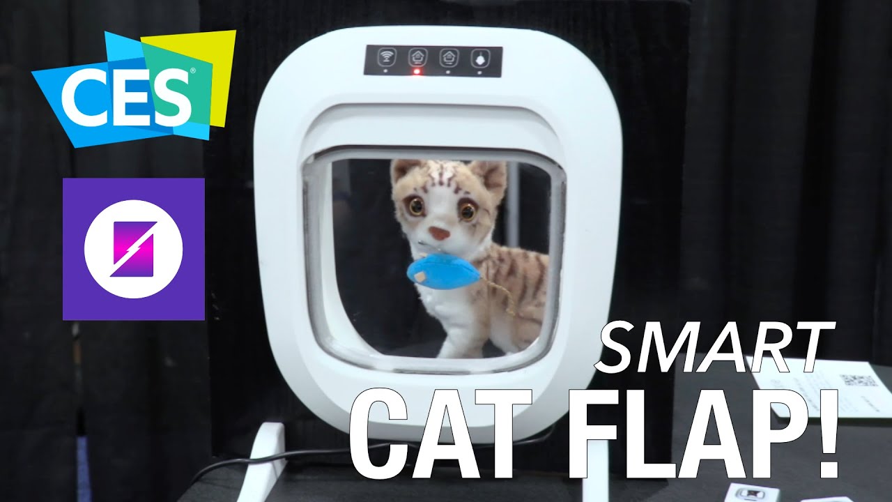 CES 2024 |  This AI Powered Cat Flap Keeps Dead Mice Out of Your House! | Flappie
