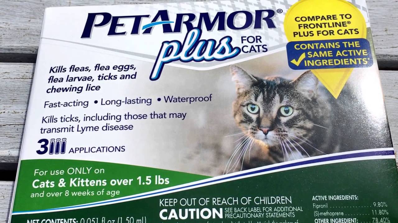 PET ARMOR PLUS FOR CATS REVIEW - Frontline Plus alternative - Tick & Flea Medicine