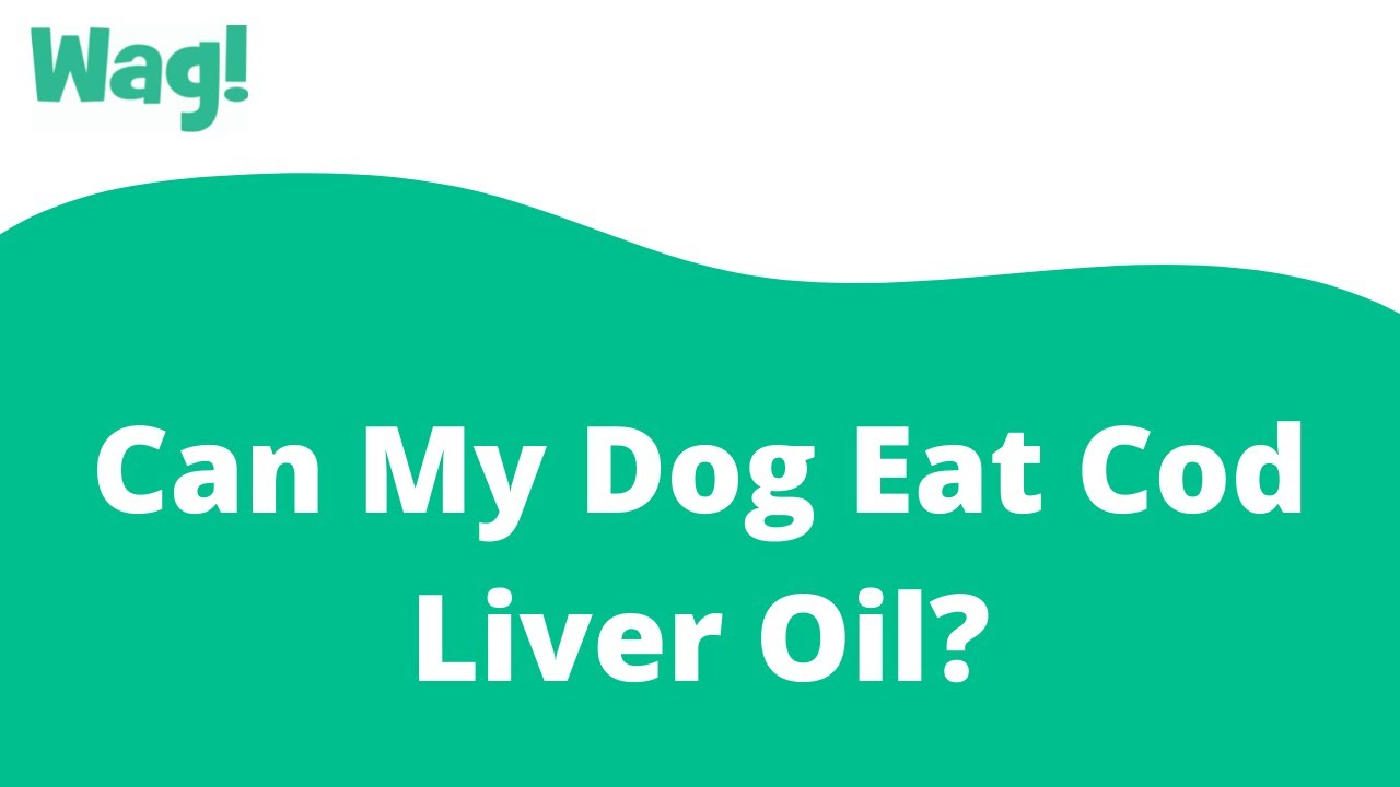 Can My Dog Eat Cod Liver Oil? | Wag!