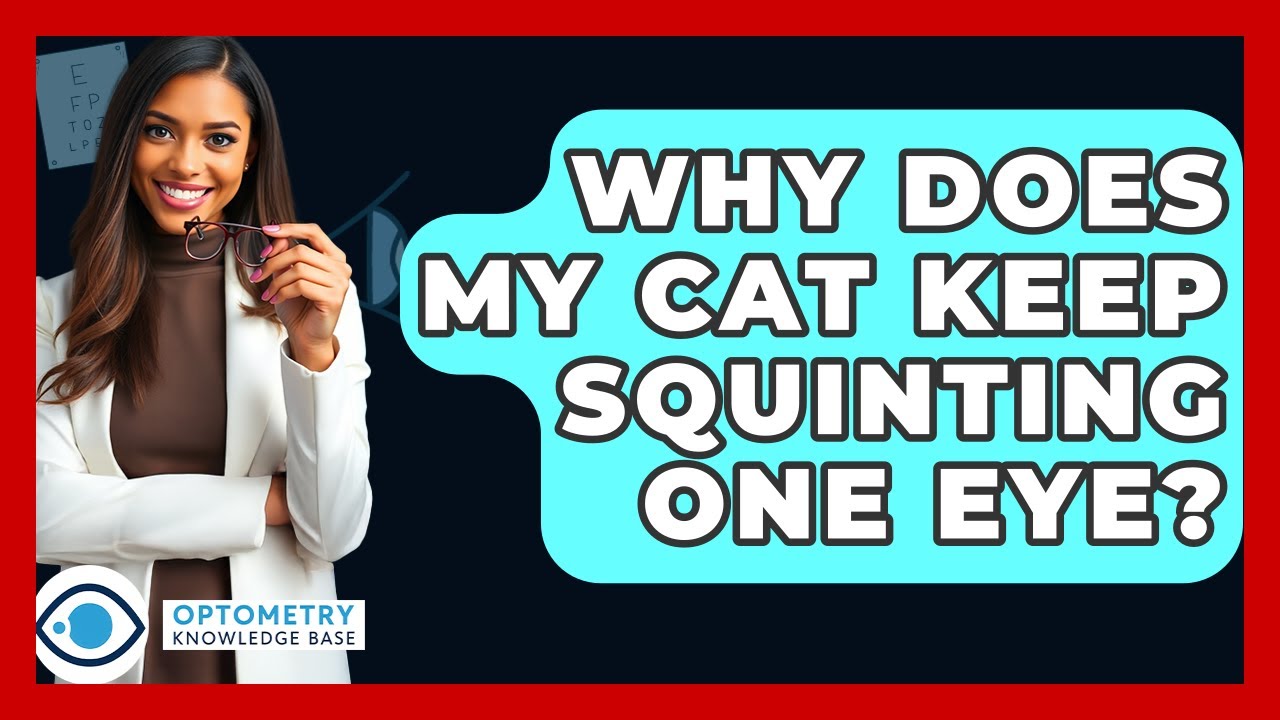 Why Does My Cat Keep Squinting One Eye? - Optometry Knowledge Base