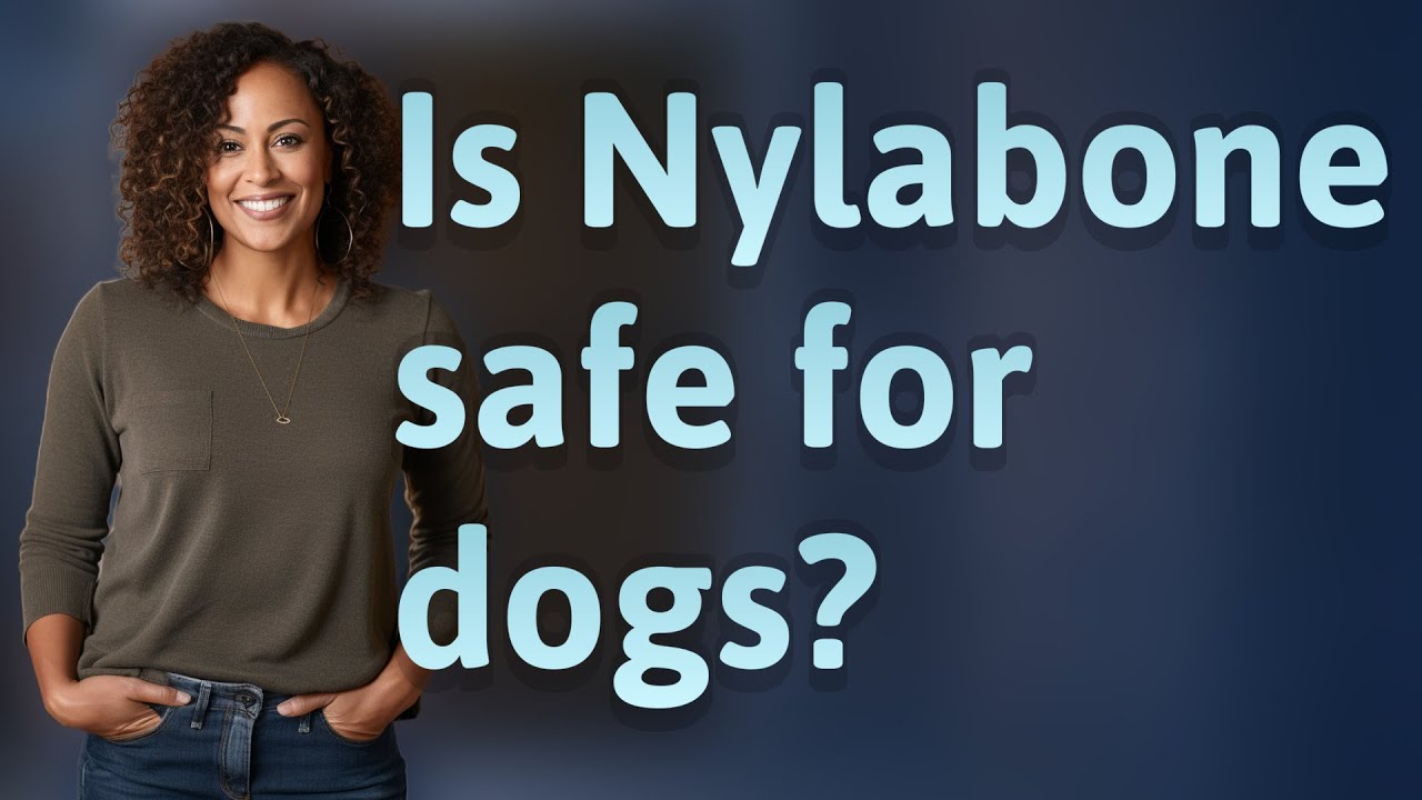 Is Nylabone safe for dogs?