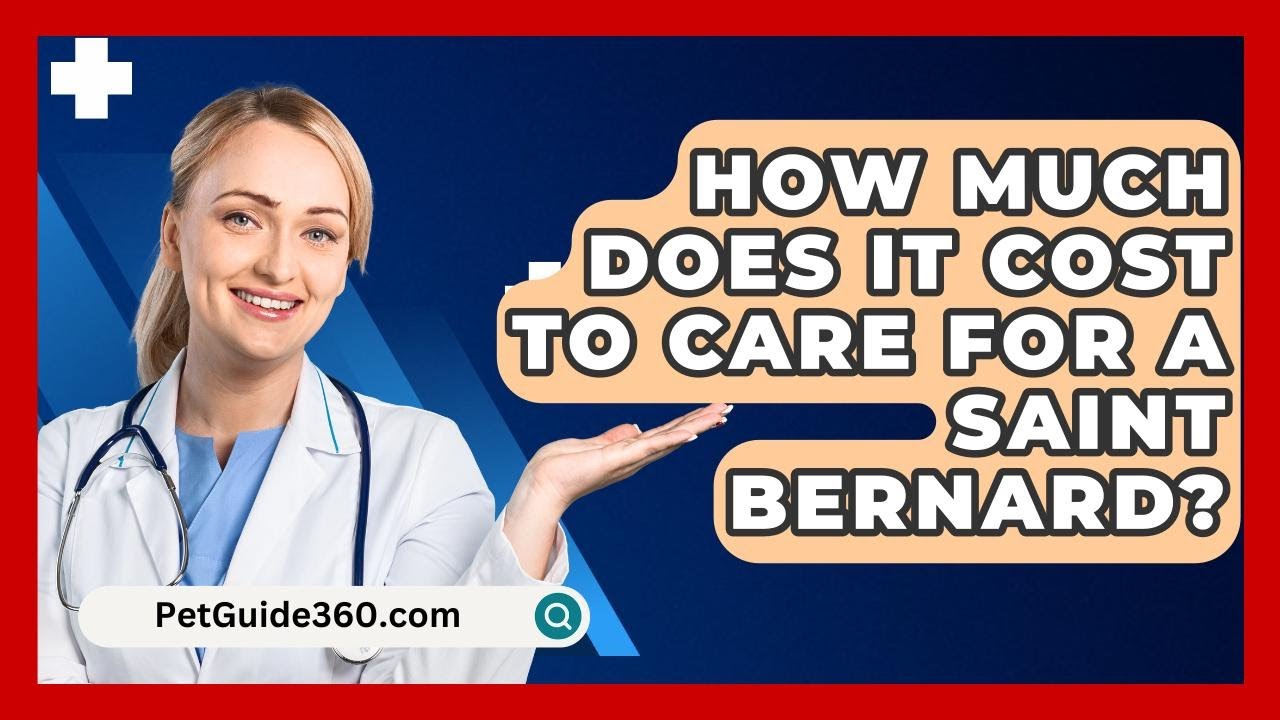 How Much Does It Cost to Care for a Saint Bernard? - PetGuide360.com