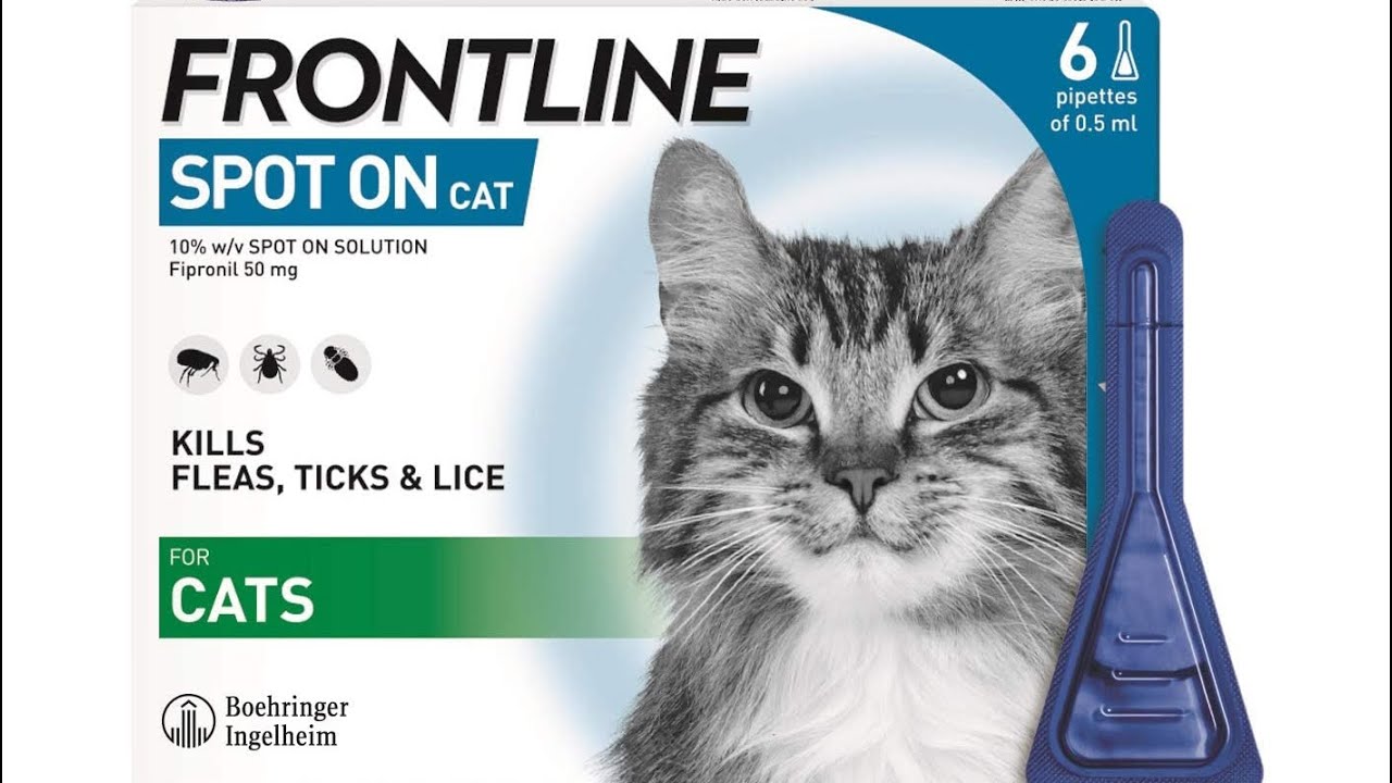 Protect Your Feline Friend with Frontline Spot-On Flea & Tick Treatment | 6 Pipettes Review