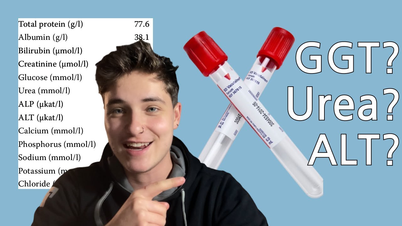 VETERINARY SKILLS: how to read blood test BIOCHEMISTRY results