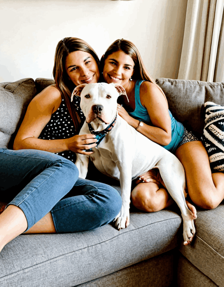 argentine dogo mix pitbull