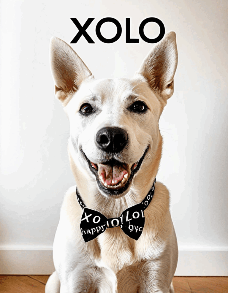 Xolo Dog Pronunciation Made Simple For Pet Lovers
